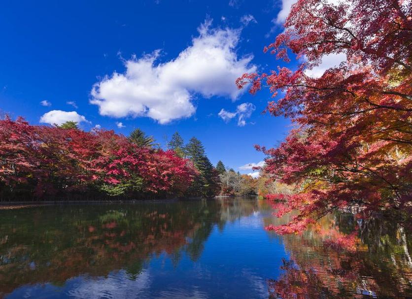 屋外の景色 写真
