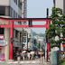 屋外の景色