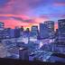 屋外の景色