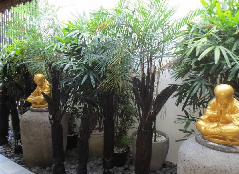 屋外の景色 写真
