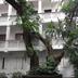 屋外の景色