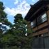 屋外の景色