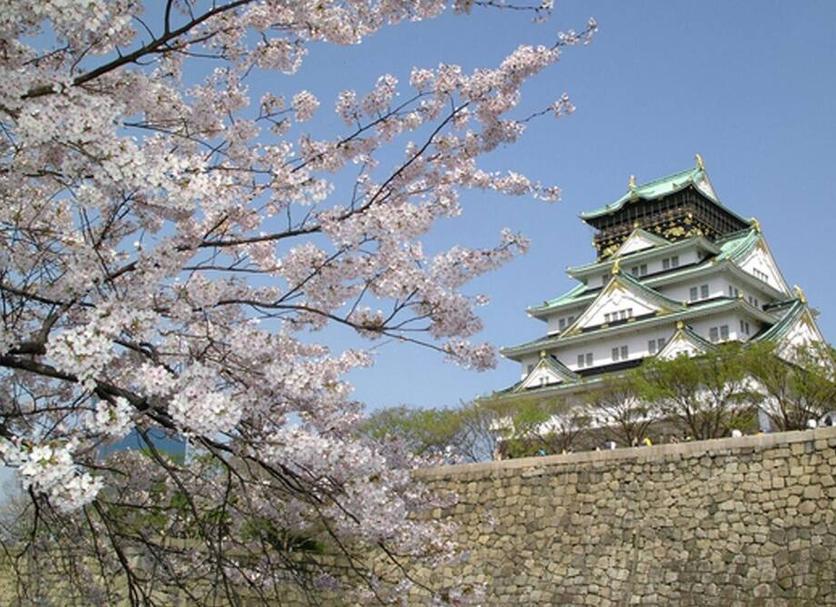 屋外の景色 写真