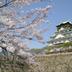 屋外の景色