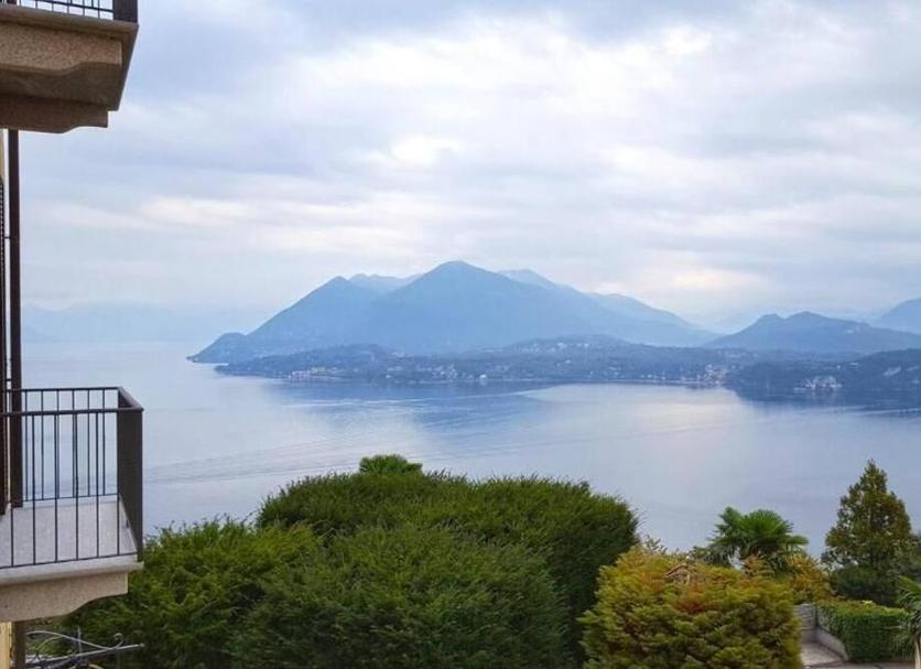 屋外の景色 写真