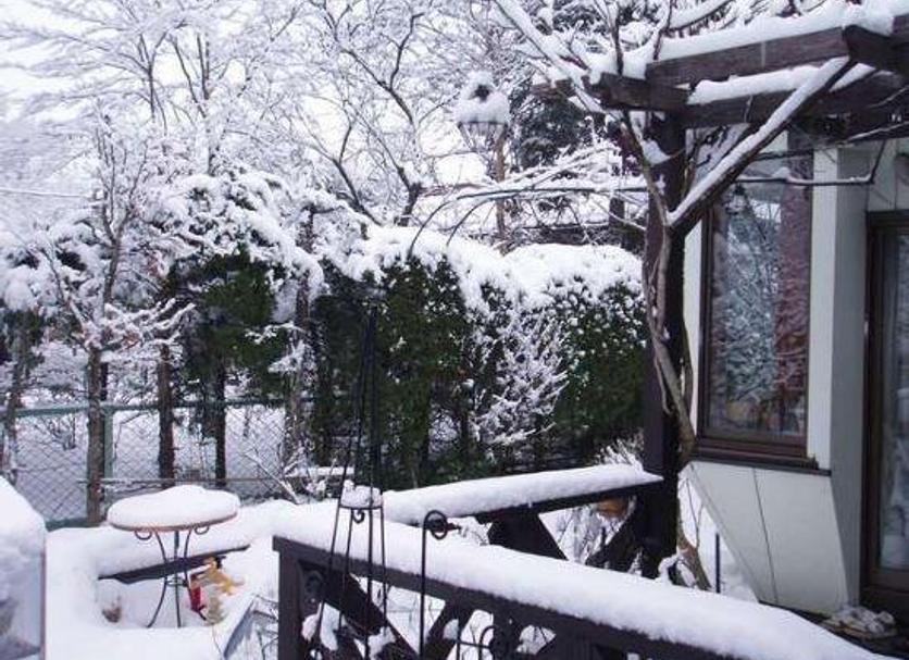 屋外の景色 写真