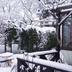 屋外の景色