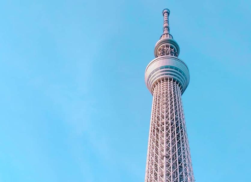 その他 写真