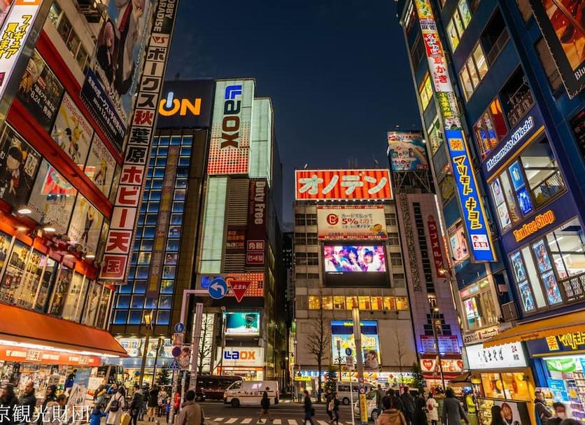屋外の景色 写真