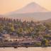 屋外の景色
