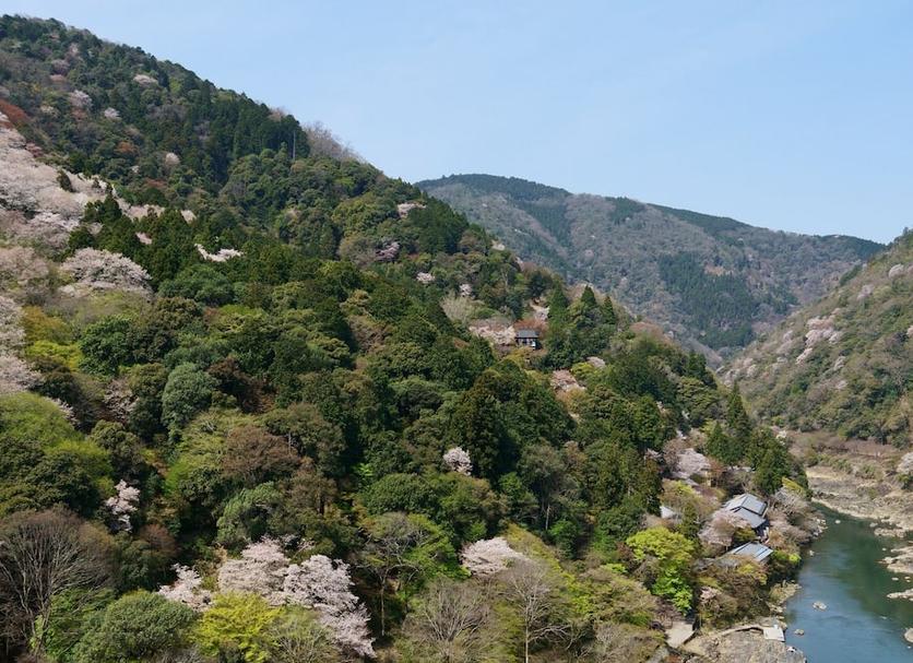 屋外の景色 写真