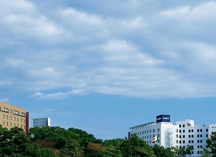 屋外の景色 写真