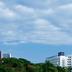屋外の景色