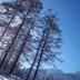 屋外の景色