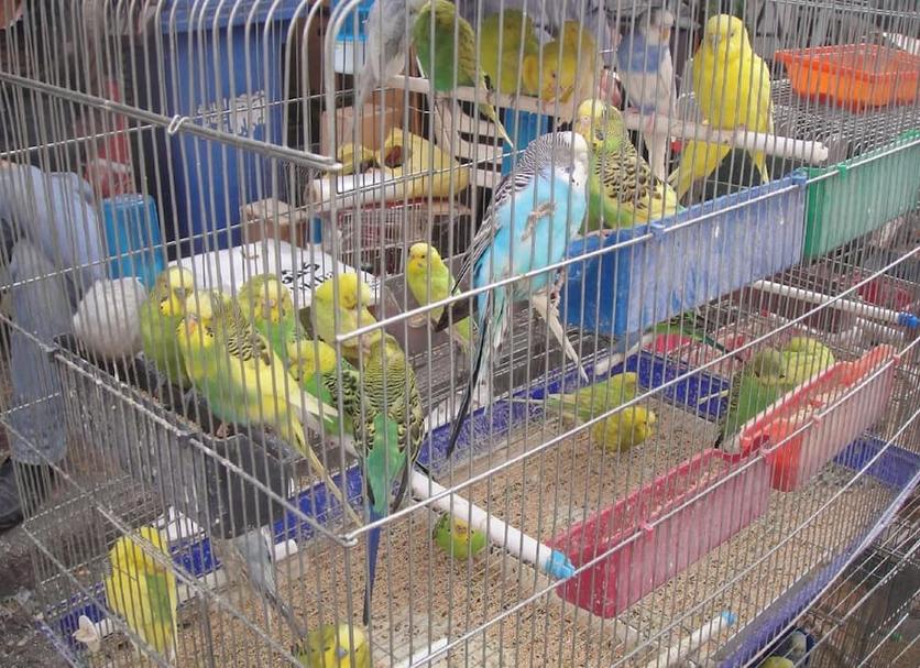 屋外の景色 写真