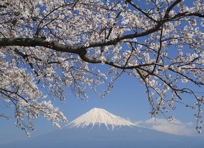 その他 写真