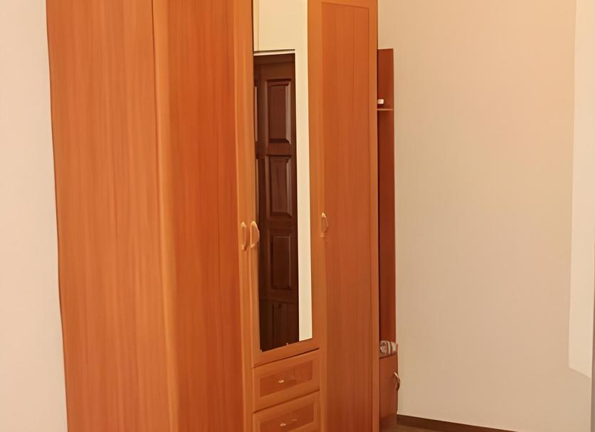 客室の設備 写真