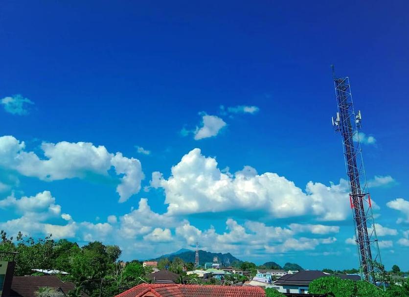 屋外の景色 写真