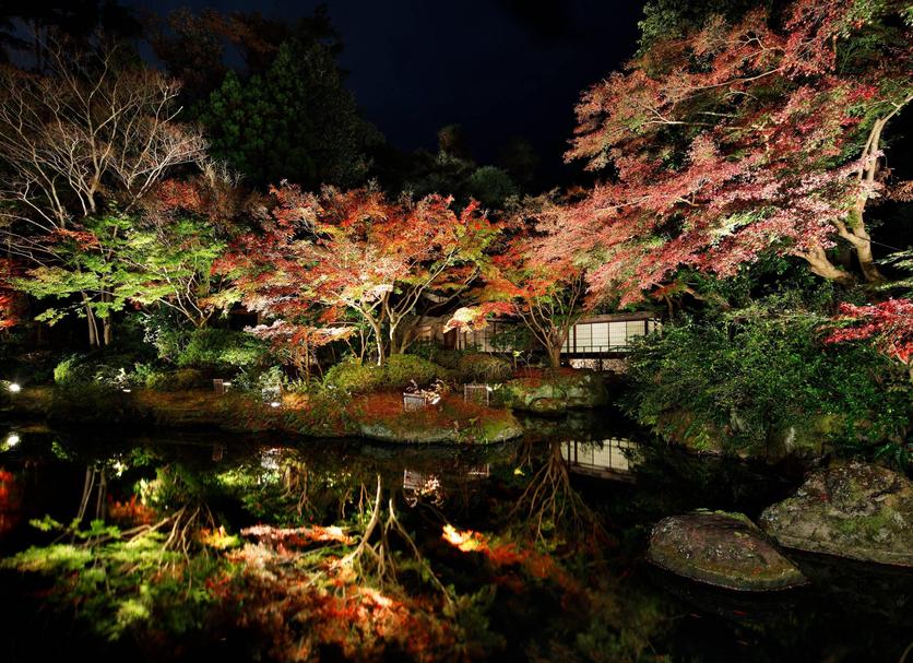 屋外の景色 写真