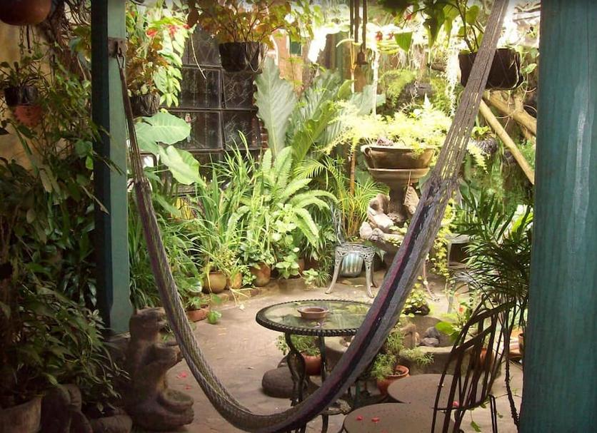 屋外の景色 写真
