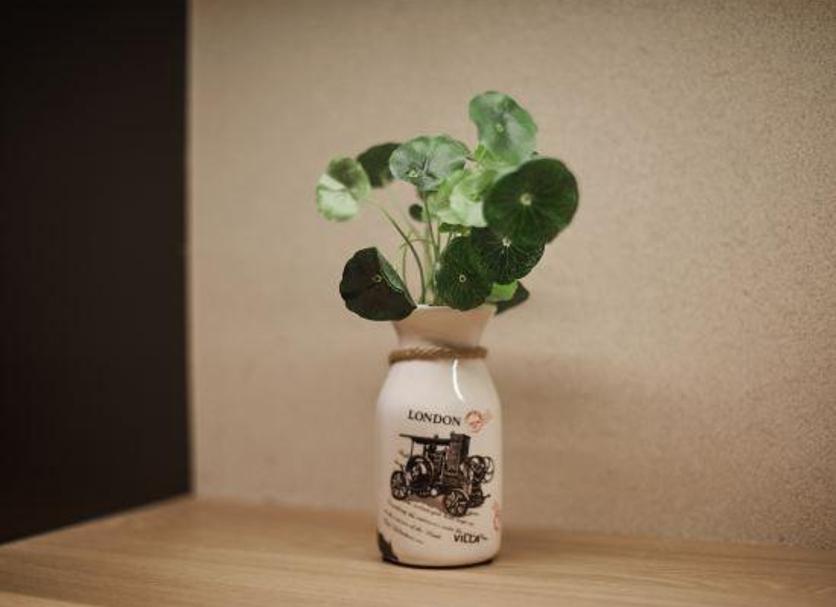 客室の設備 写真