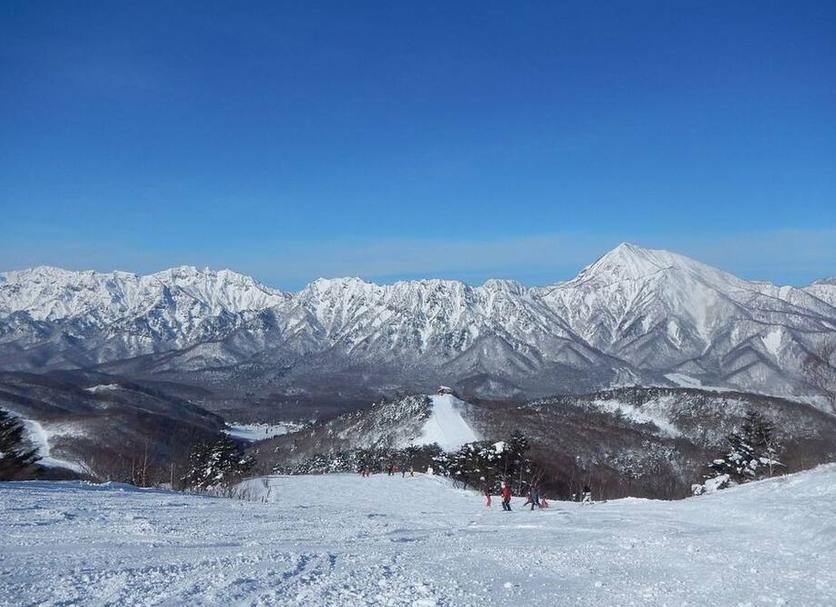 屋外の景色 写真