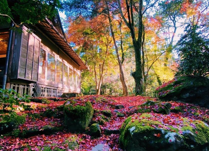 屋外の景色 写真