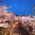 屋外の景色