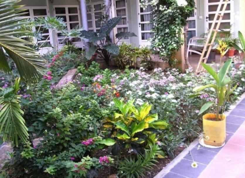 屋外の景色 写真