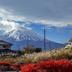 屋外の景色