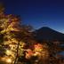 屋外の景色