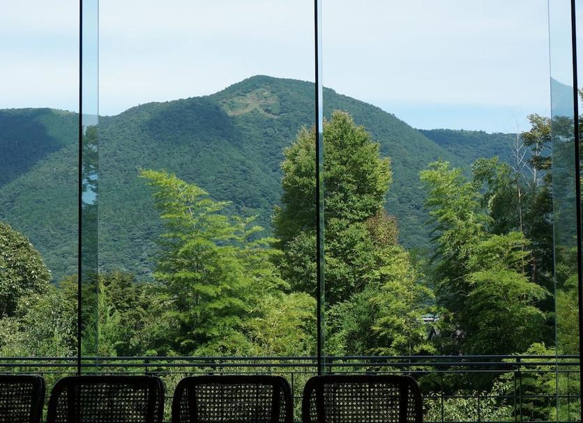 屋外の景色 写真