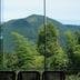 屋外の景色