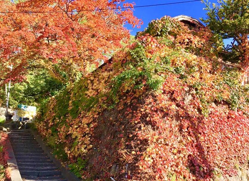 屋外の景色 写真