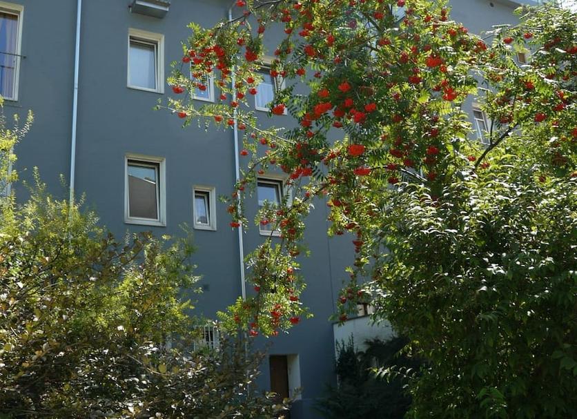 屋外の景色 写真