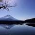 屋外の景色