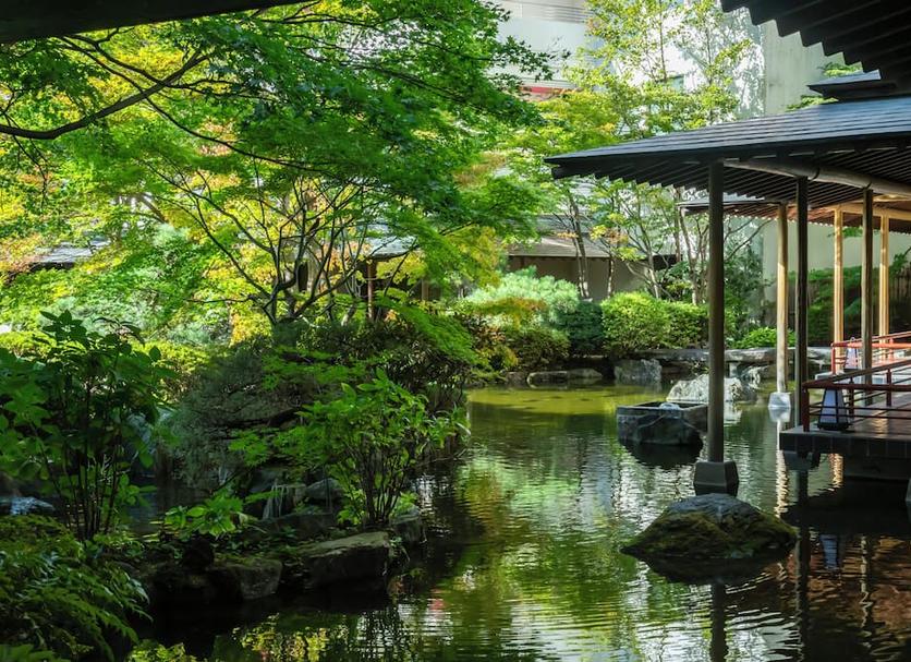 屋外の景色 写真