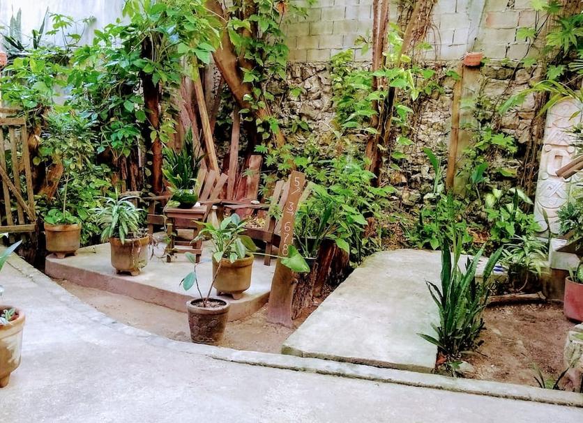 屋外の景色 写真