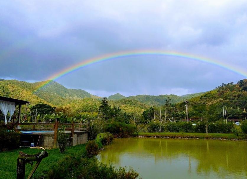 屋外の景色 写真