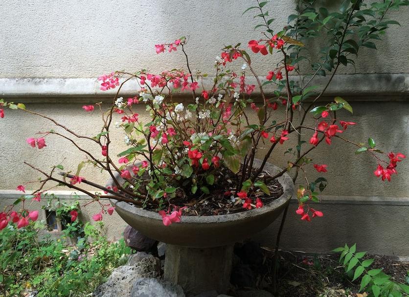 屋外の景色 写真