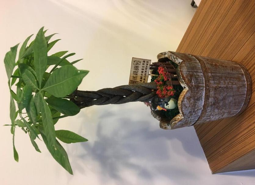 その他 写真