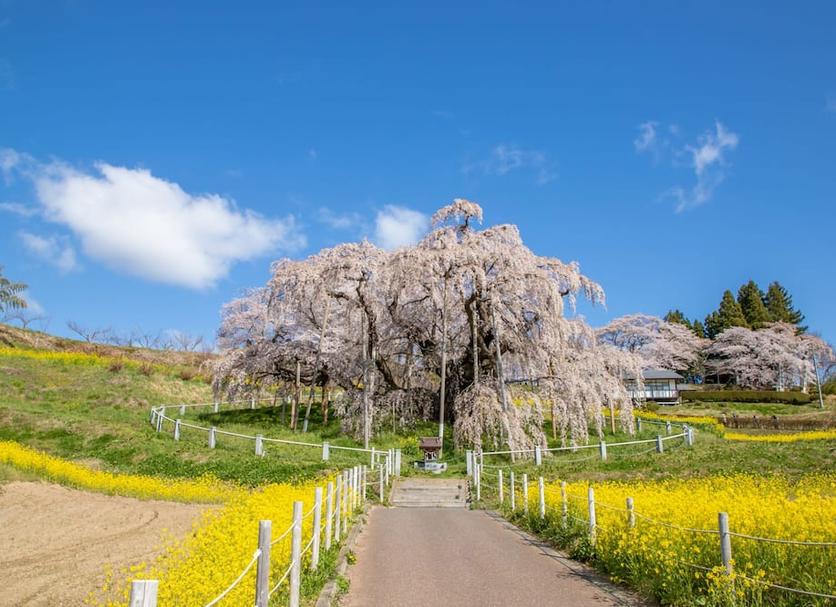 屋外の景色 写真