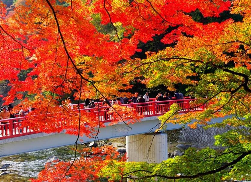 屋外の景色 写真
