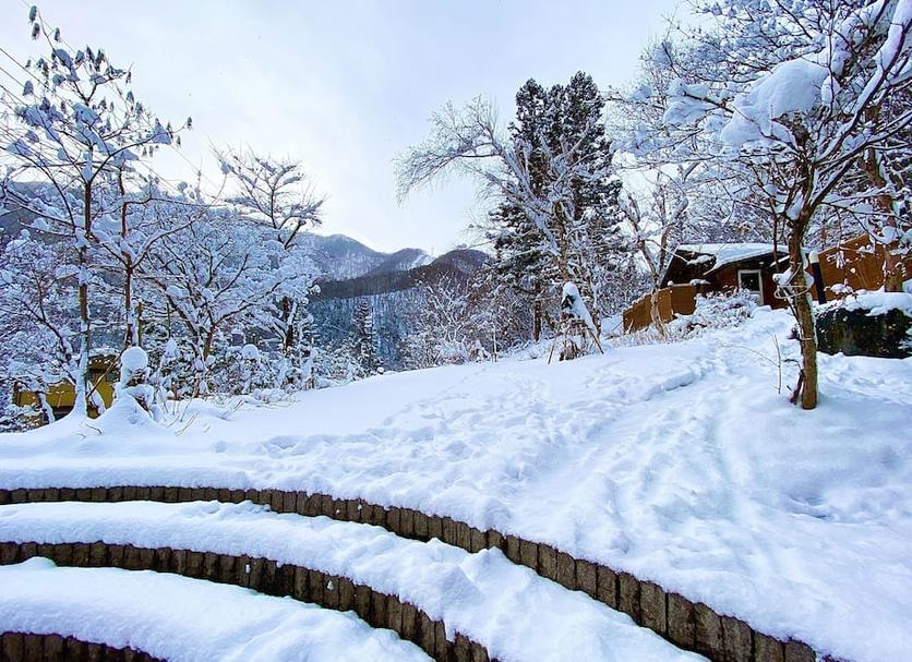 屋外の景色 写真