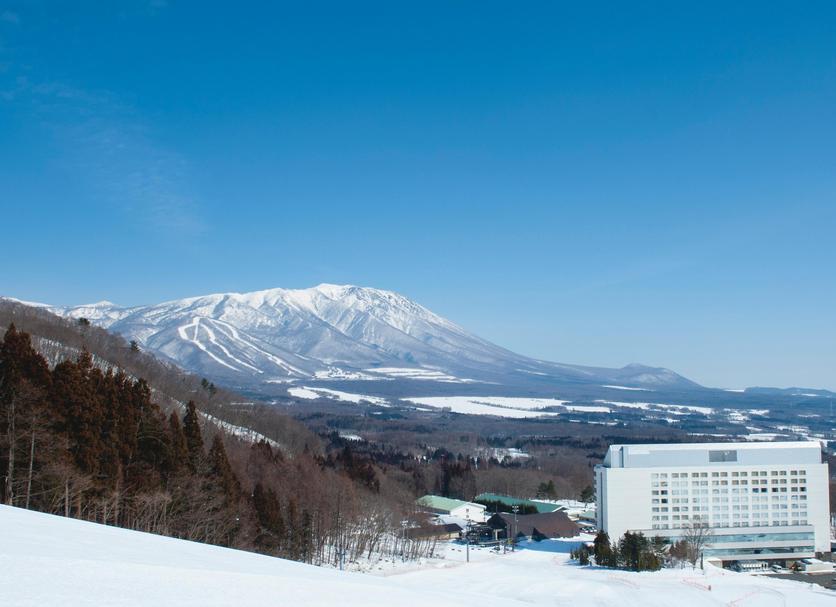 屋外の景色 写真