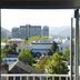 屋外の景色