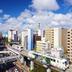 屋外の景色