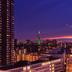 屋外の景色