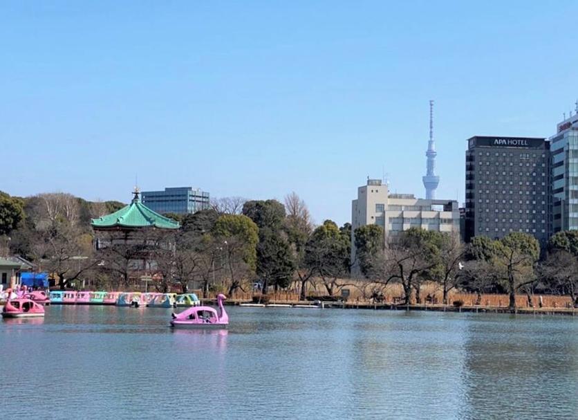 屋外の景色 写真