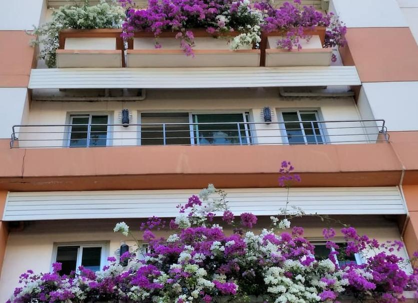 建物 写真